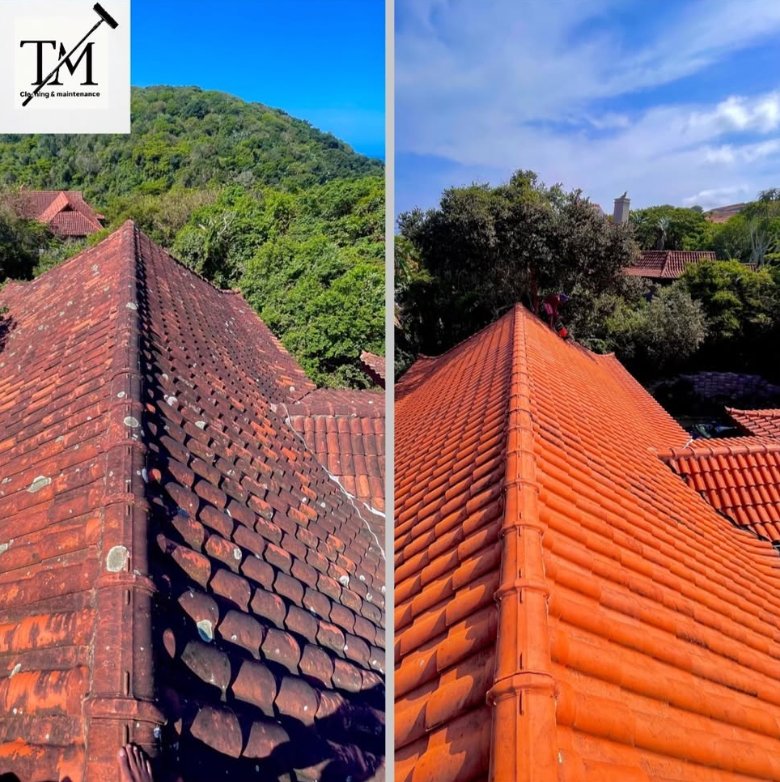 Roof Before & After